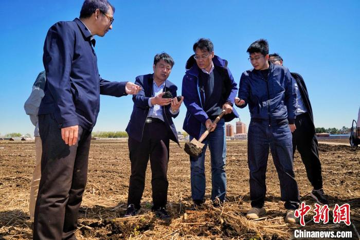 中科院东北地理所韩晓增研究员(右四)在中科院海伦农业生态实验站介绍黑土保育。(谢震霖 摄) 中科院科技摄影联盟 供图 中科院东北地理所韩晓增研究员(右四)在中科院海伦农业生态实验站介绍黑土保育。(谢震霖 摄) 中科院科技摄影联盟 供图