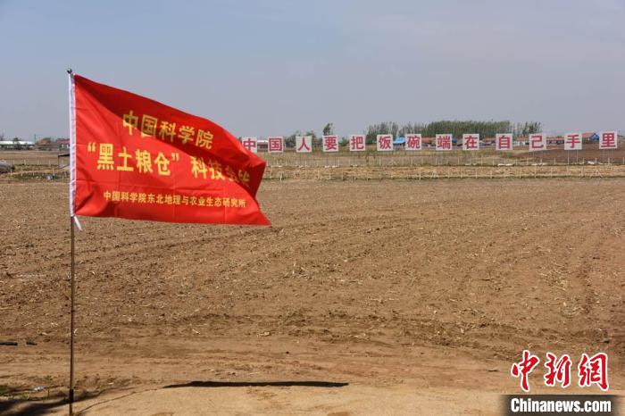 中科院“黑土粮仓”科技会战梨树万亩示范区,会战旗帜、标语醒目。 中新社记者 孙自法 摄 中科院“黑土粮仓”科技会战梨树万亩示范区,会战旗帜、标语醒目。 中新社记者 孙自法 摄