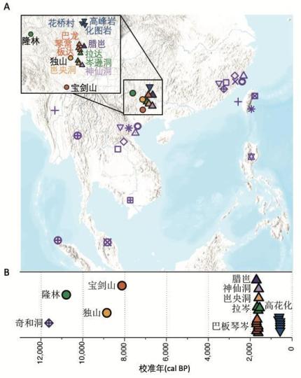 本次研究新样本的地理和时间分布图。 中科院古脊椎所 供图 本次研究新样本的地理和时间分布图。 中科院古脊椎所 供图