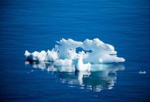 大多数北极的婴儿海冰在它离开苗圃之前融化