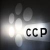 国际证监会组织确定了CCP风险模型的不足之处