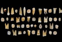 在菲律宾发现了新的化石人类亲属