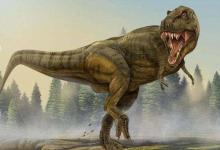 巨大的恐龙群体成为恐龙时代之前臭名昭着的大规模物种灭绝之一