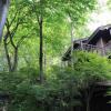 乔恩·丹尼尔森·奥尔胡斯亲自为挪威创造了松树覆盖的山间小屋