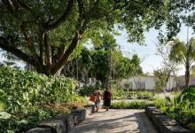 两个家庭共享由AE Arquitectos制作的树木繁茂的墨西哥静修所