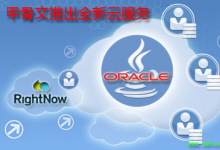 Oracle合作伙伴和微软的客户提供全球性的企业应用程序