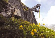 Reiulf Ramstad和Dualchas设计苏格兰岛的悬崖游客中心