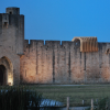 NAS建筑在法国中世纪城墙上安装了木制漩涡