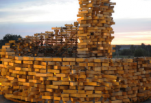 尼古拉波利斯斯基的SELPO展馆覆盖了成千上万的木屑