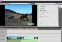PremiereElements会自动从视频素材中提取最佳照片