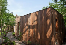 伦敦工作室6aArchitects通过添加围绕树木弯曲的木材结构