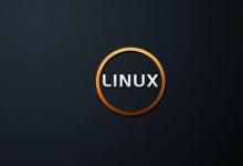 这个基于Linux的操作系统并没有提供GNU必须提供的许多功能