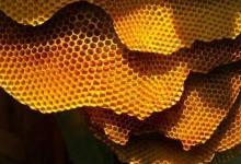 很高兴看到Honeycomb被移植到这种主流设备的速度有多快