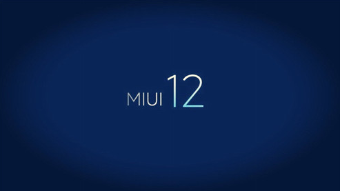 您可以从以下链接为您的设备下载MIUI12的最新测试版