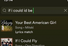 Spotify移动应用程序使您可以长时间通过歌词搜索歌曲