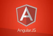 您可以下载angular的最新版本并将其添加到您的视图脚本中