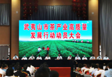 东方六禾打造中国东方茶代名词，积极助力武夷茶产业升级