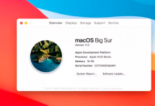 随着Apple最终将OS X抛在后面，Big Sur正式使用了macOS 11.0
