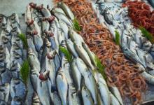 越南试图向欧盟市场出口盒装蛤肉 目的地是哪里？