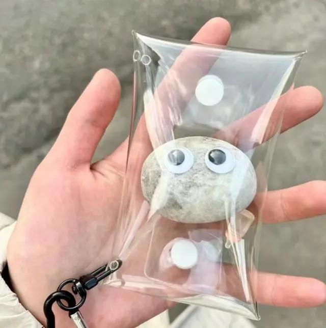 韩国年轻人迷上养石头