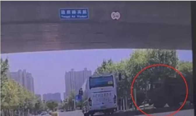 殡仪馆回应市民为南通去世女孩送花