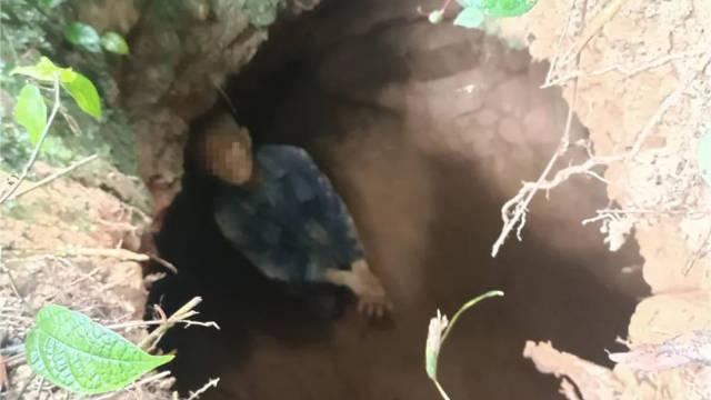 82岁老人跌落山洞7天 靠雨水活命