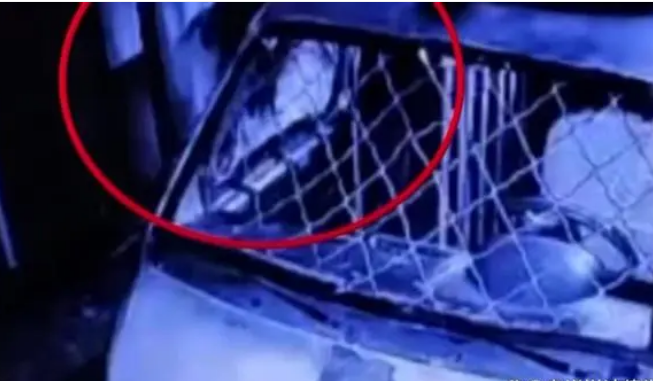 女生投诉玩密室被NPC摸臀部