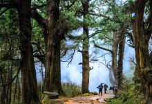 四川广元剑门蜀道（翠云廊）获联合国全球可持续“地球家园”范例奖