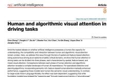 【Nature系列】以眼动数据揭示人类与智驾算法视觉注意力的本质差异