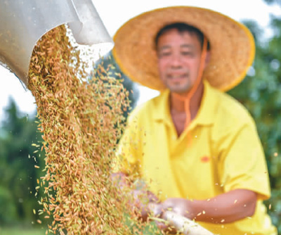 中国粮食生产再获丰收