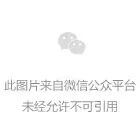 地产还没上市，13家物企“先走一步”